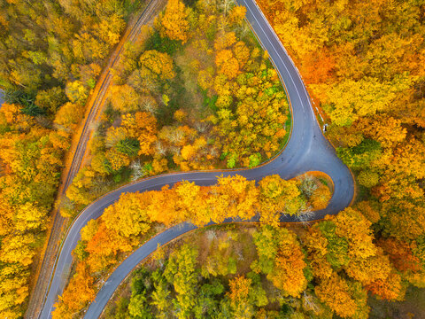 A picturesque winding road meanders through a breathtaking display of autumn foliage. The bright orange, red, and yellow leaves create a stunning contrast against the dark pavement.