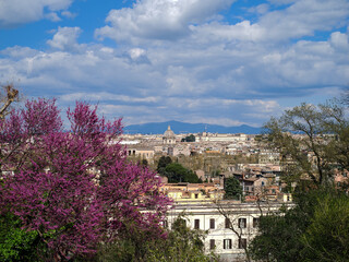 Panoramic view of Rome town in the spring season, Lazio region, Italy