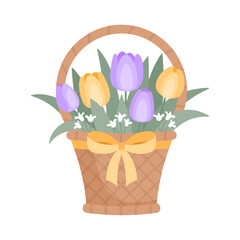 Basket with tulips isolated on white background