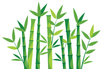 Vivid Green Bamboo Stems and Leaves on a White Background Style
