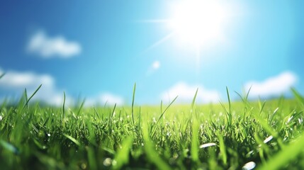 Expansive lush green grass field captured under a vivid bright blue clear sky