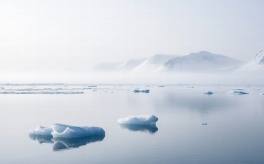 Fototapeta premium iceberg in antarctica