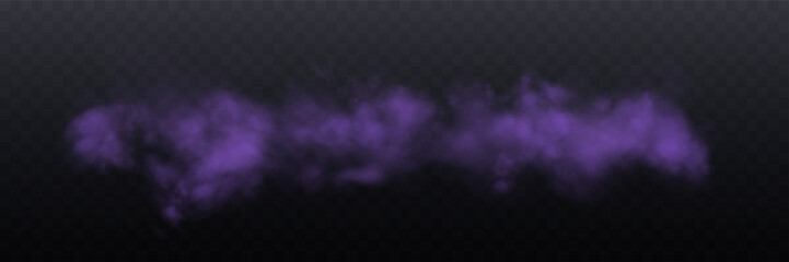 Realistic purple smoke or haze, overlay effect on a transparent background. Hot fire and flame, magic fog, vapor. Abstract vector illustration © Elena