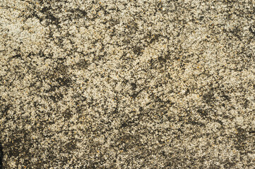 Small pebbles embedded in cement pavement.