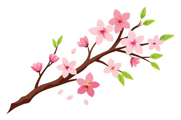 Fototapeta premium Detailed Cherry Branch with Pink Blossoms and Green Leaves on White