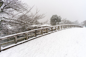 Snowy Kyoto, Arashiyama