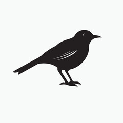 Obraz premium A black crow silhouette, a wild bird with a beak and feathers, perches on a nature branch