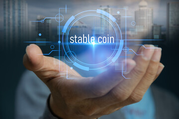 The concept of using stablecoins in financial systems