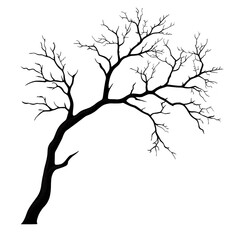 Fototapeta premium A silhouette of bare tree with intricate branches against transparency background, evoking sense of simplicity and elegance