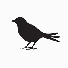 Fototapeta premium Black crow silhouette vector illustration on a branch