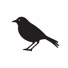 Obraz premium Black crow silhouette vector illustration on a branch