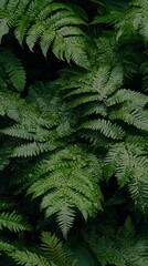 Lush green ferns flourishing in a tropical forest nature close-up vibrant environment fresh perspective