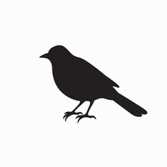 Obraz premium Black crow silhouette on a nature branch, a wild bird illustration
