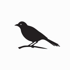 Obraz premium Black crow silhouette vector illustration on a nature branch