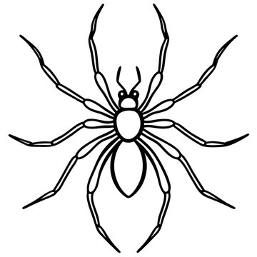 black spider outline drawing clip art preview