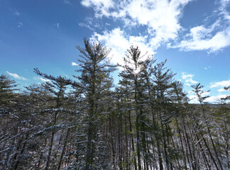 frozen snow covered trees in winter (beautiful forest with distant mountains) clouds sky scenic woods hiking nature area (upstate new york catskills mountains) snowy wintry tree scene catskill gunks