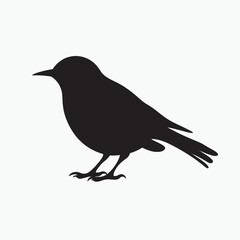 Obraz premium Silhouette of a crow and bird on a branch with a white background