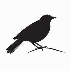 Fototapeta premium Black crow silhouette, vector art on a wild tree branch