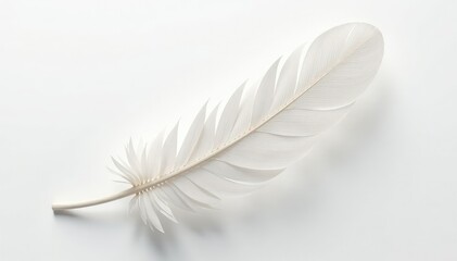 Obraz premium Crisp white feathers on seamless white background , white, bird