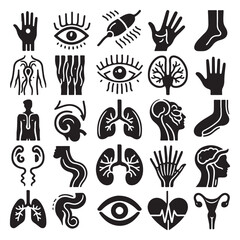 Anatomy Stroke icon collections. Containing hair, finger, human body, lungs, legs, organs, sperm, kidneys and heart icons. silhouette vector style with white background