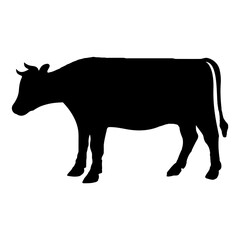 Cow clip art design on plain white transparent isolated background for card, shirt, hoodie, sweatshirt, apparel, card, tag, mug, icon, poster or badge