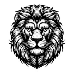 Obraz premium Lion portrait sketch engraving black and white outline. Scratch board imitation. illustrated in vintage line art style on a white background.
