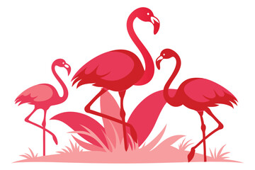Obraz premium Three Pink Flamingoes Standing in Grass on White Background