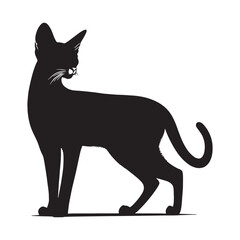 Charming Abyssinian silhouette, capturing the breed’s lively spirit - Abyssinian illustration - Abyssinian vector - cat silhouette

