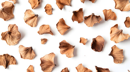 Fototapeta premium A close-up of dried cinnamon flowers scattered across a pristine white backdrop, showcasing their intricate shapes and rich brown tones.