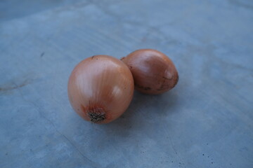 Obraz premium photo of fresh shallots from the garden