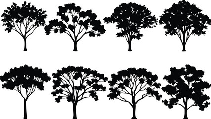 Fototapeta premium Silhouette Tree Line Drawing Set – Vector Outline Trees for Architecture & Landscape Design