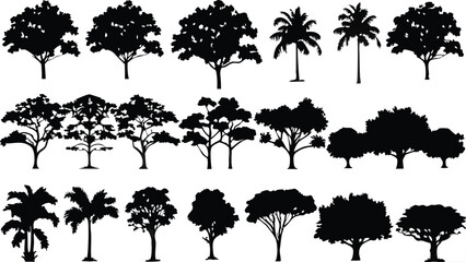 Fototapeta premium Silhouette Tree Line Drawing Set – Vector Outline Trees for Architecture & Landscape Design