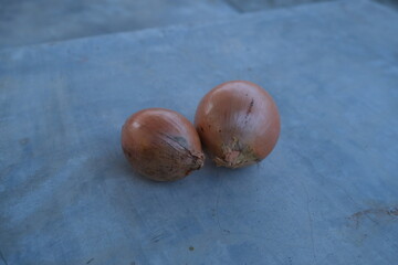 Obraz premium photo of fresh shallots from the garden