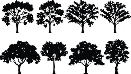 Obraz premium Silhouette Tree Line Drawing Set – Vector Outline Trees for Architecture & Landscape Design