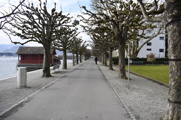 Vierwaldst&auml;ttersee in Luzern