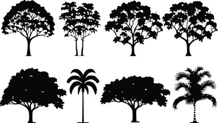 Fototapeta premium Silhouette Tree Line Drawing Set – Vector Outline Trees for Architecture & Landscape Design
