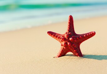 Red starfish resting on sandy beach near the ocean waves