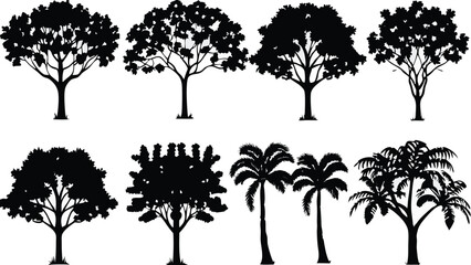Fototapeta premium Silhouette Tree Line Drawing Set – Vector Outline Trees for Architecture & Landscape Design