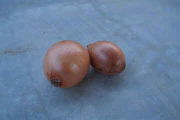 Obraz premium photo of fresh shallots from the garden