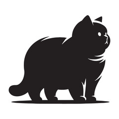 Shadowed British Shorthair silhouette, evoking mystery and allure - British Shorthair illustration - British Shorthair vector - cat silhouette

