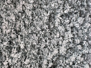 Rough Concrete Texture Close-Up
