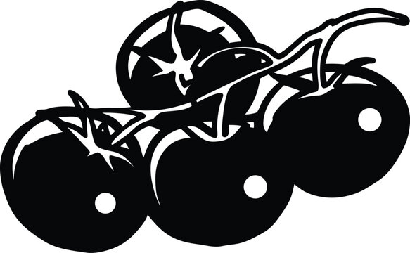 vector illustration of an tometo