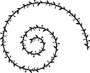 Spiral Frame wreath simple shape vector Leaves border floral photo frame romantic Botanical Branches decoration