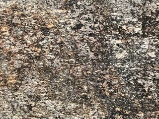 Granite Rock Texture Close-Up