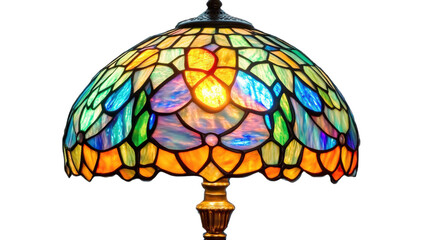 vector illustration of a colorful parrot