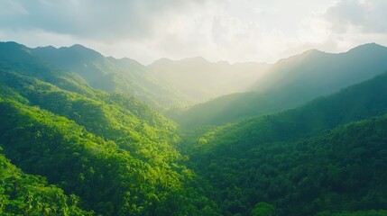 Obraz premium Aerial View of Lush Green Mountains, Sunlit mountain range, vibrant green foliage
