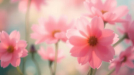 Super gentle and delicate floral background with close up flowers and blur effect