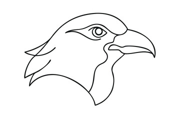Elegant Line Art Eagle Head Profile, Bird of Prey, Wildlife