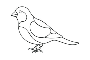 Obraz premium Simple Line Drawing of a Small Bird, Avian, Feathered, Wildlife