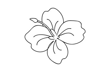 Simple Line Drawing of a Single Hibiscus Flower Blossom